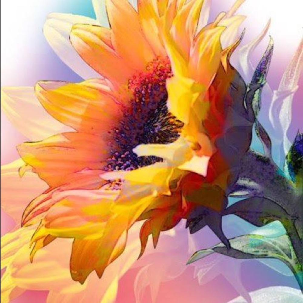 Meet your Posher, Tyra